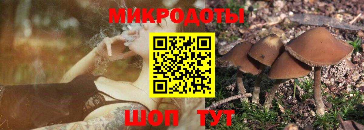 Ивантеевка  Псилоцибиновые грибы мицелий  Галлюциногенные грибы мухоморы  Вход с VPN 